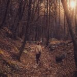 Mit tegyél, hogy inspiráló vezetője legyél a csapatodnak? 5+1 tipp, amivel pozitív változást fogsz elérni